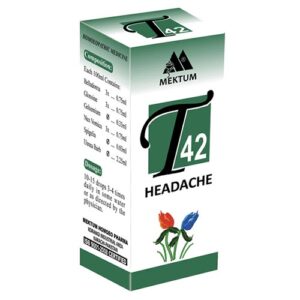 T42-Headache